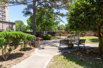 A park with a bench and a tree.